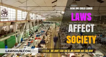 Child Labor Laws: Transforming Society's Future Through Protection and Progress