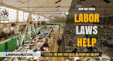 Child Labor Laws: Transforming Lives and Shaping a Brighter Future
