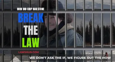 Chip Hailstone's Criminal Past: Breaking the Law