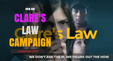 Unveiling Truth: The Impact of Clare's Law Campaign