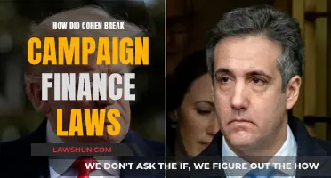 Cohen's Campaign Finance Laws Breach: What Happened?