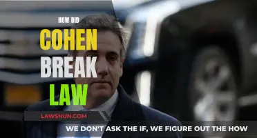 Cohen's Legal Troubles: Breaking the Law