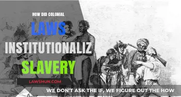 Colonial Legal Frameworks: The Institutionalization of Slavery