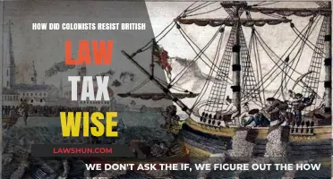 Resisting British Rule: Colonists' Tax Revolt