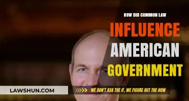 Common Law: Foundation of American Government