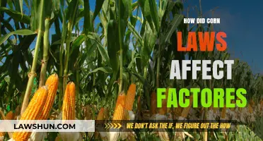 Corn Laws' Impact on Factors: A Historical Economic Analysis