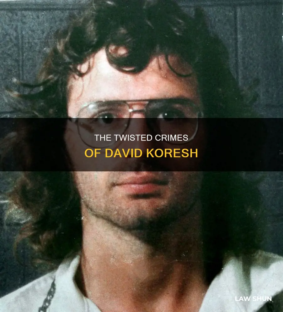 how did david koresh break the law