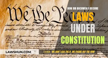 Documents to Laws: Understanding the Constitutional Process