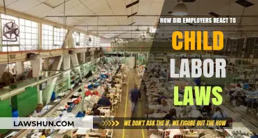 Employers' Response to Child Labor Laws: Resistance, Adaptation, and Change