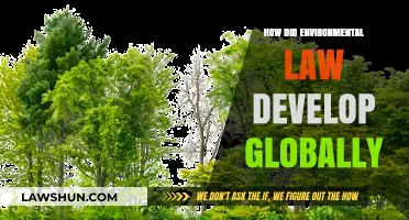 The Evolution of Environmental Law: A Global Perspective