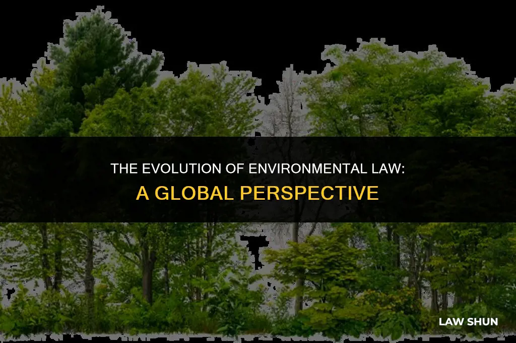 how did environmental law develop globally