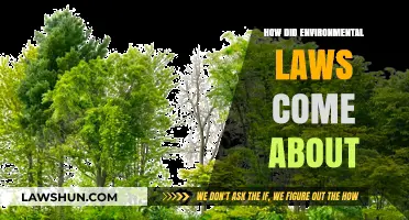 The Evolution of Environmental Laws: A Historical Perspective