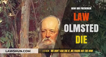 The Final Chapter: Frederick Law Olmsted's Peaceful Passing