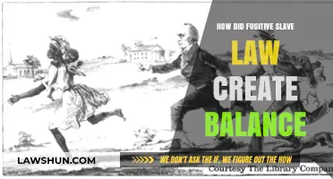 Fugitive Slave Law: Balancing Act or Complicity?