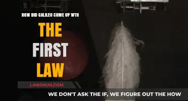 Galileo's First Law: The Spark of Insight