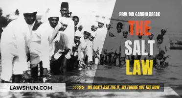 Gandhi's Salt March: Breaking the Salt Law in India