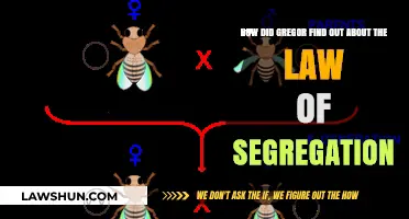 Gregor Mendel's Discovery: Unraveling the Mystery of Segregation Law