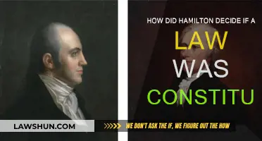 Hamilton's Constitutional Law: A Founding Father's Legacy