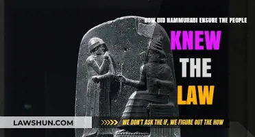 Hammurabi's Code: How Public Display Ensured Legal Awareness