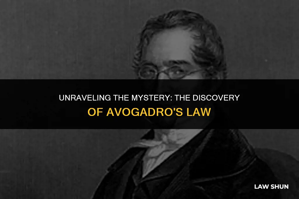 how did hey found avogadros law