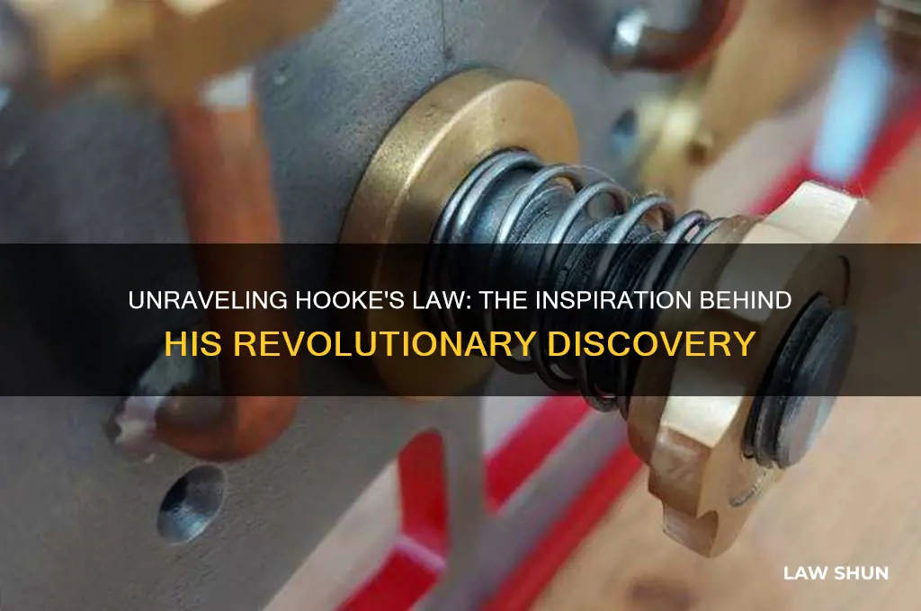 Unraveling Hooke's Law: The Inspiration Behind His Revolutionary ...