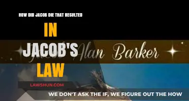 Jacob's Tragic Death: The Story Behind Jacob's Law Explained