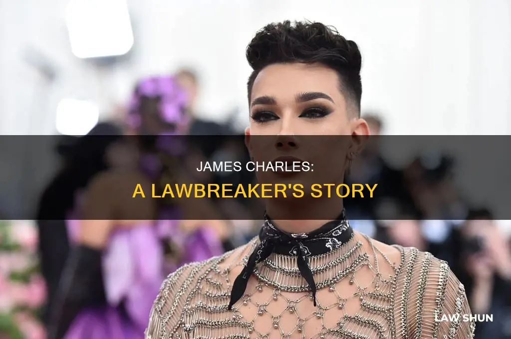 how did james charles break the law