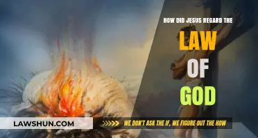Jesus and God's Law: Fulfillment, Interpretation, and Eternal Relevance