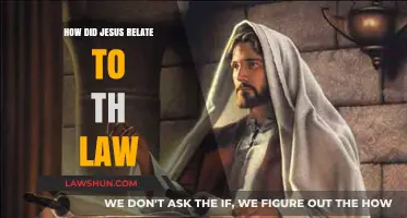 Jesus and the Law: Fulfillment, Interpretation, and Divine Purpose