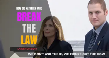 Kathleen Kane's Illegal Actions: What Broke the Law?