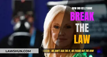 Kellyanne's Legal Troubles: Breaking the Law