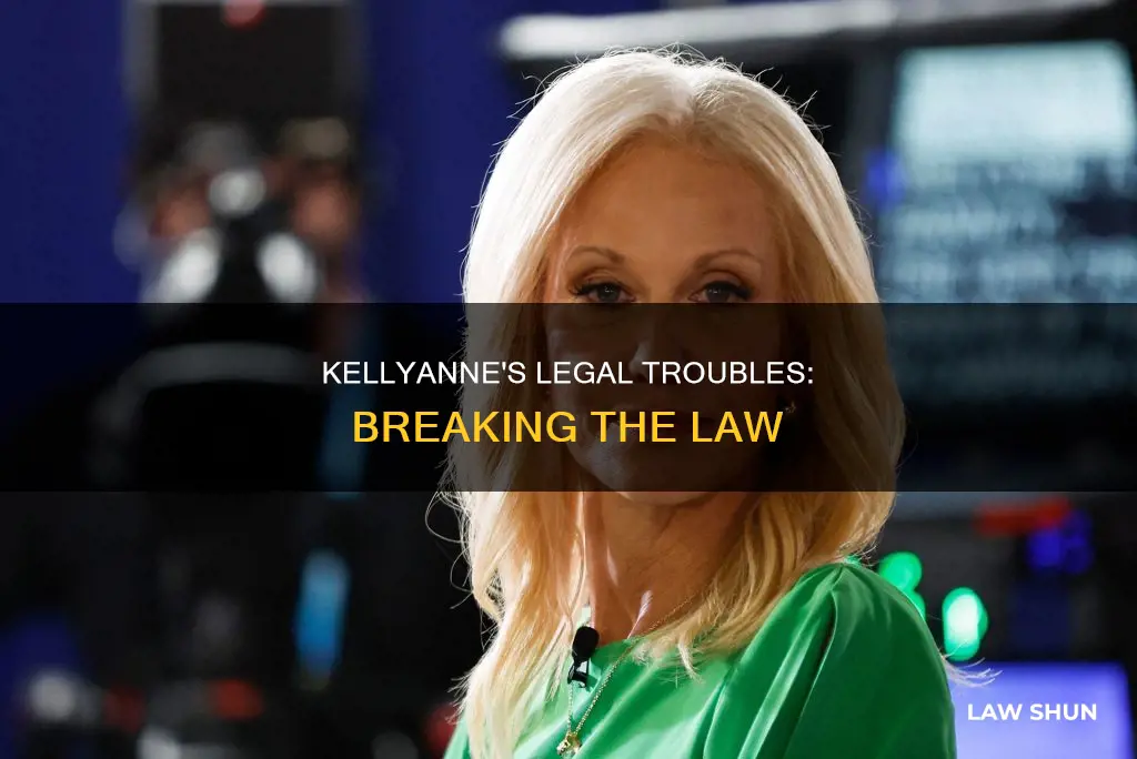 how did kellyanne break the law