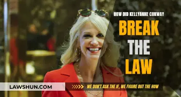 Kellyanne Conway: Lawbreaker in the White House