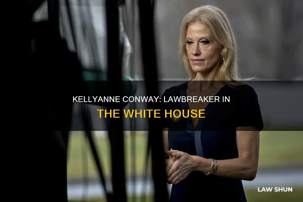 how did kellyanne conway break the law