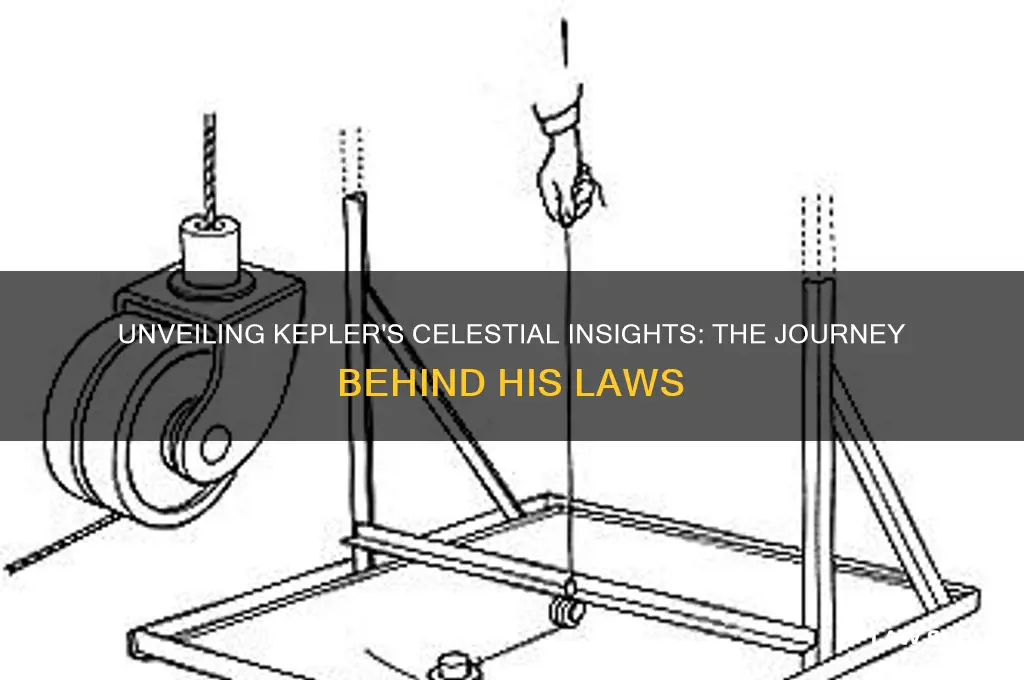 how did kepler come up with his laws