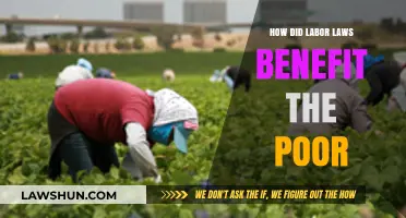 Labor Laws: Empowering the Poor Through Fair Work Protections