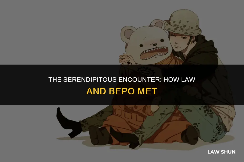 how did law and bepo meet
