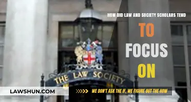 Law and Society Scholars' Focus: Key Themes and Trends Explored