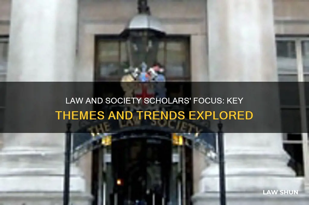 how did law and society scholars tend to focus on