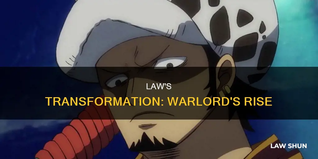 how did law become a warlord