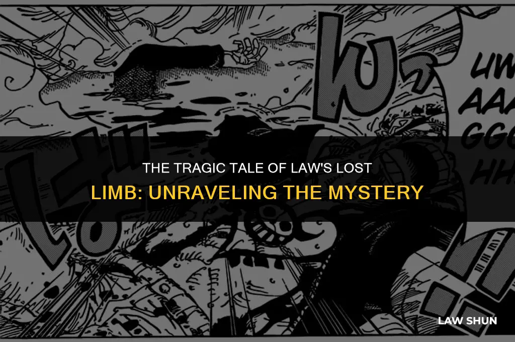 how did law lose his arm