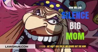Unveiling the Legal Gag: The Silencing of Big Mom