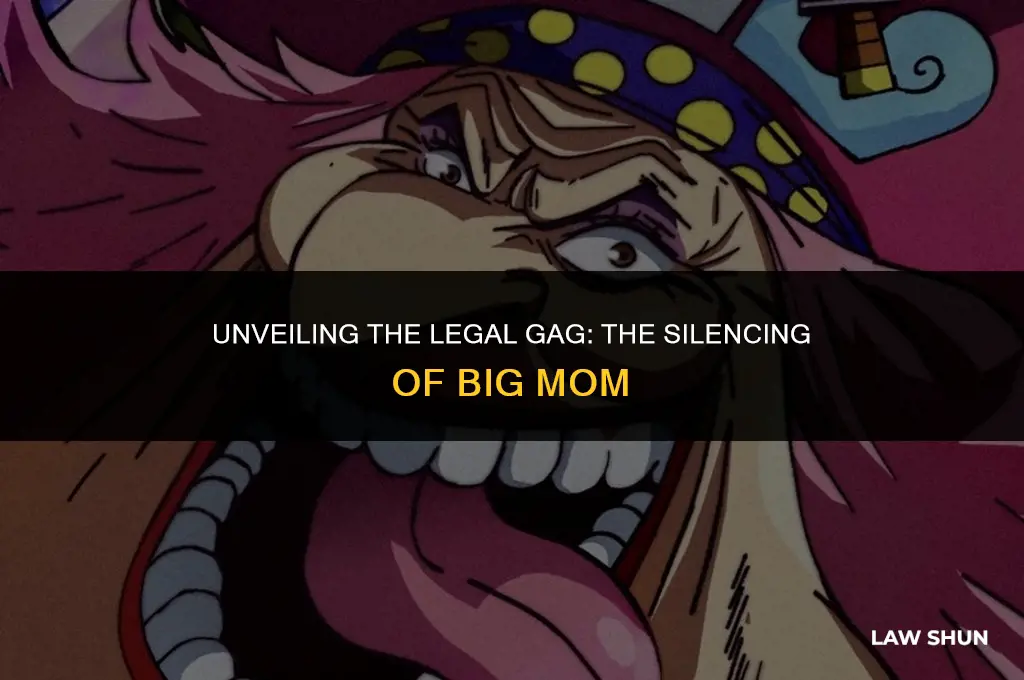 how did law silence big mom