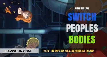 Mysterious Body Swaps: Unraveling the Legal Enigma of Identity Exchange
