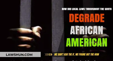 Southern Legal Oppression: How Local Laws Degraded African Americans Post-Civil War