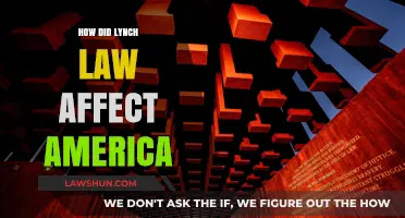 Lynch Law's Legacy: Shaping America's Racial Divide and Justice System