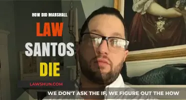 The Tragic End of Marshall Law Santos: A Fighter's Final Round