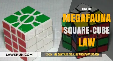 Exploring the Square-Cube Law: How Megafauna Adapted to Survive