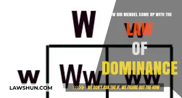 Unraveling Mendel's Discovery: The Birth of the Law of Dominance