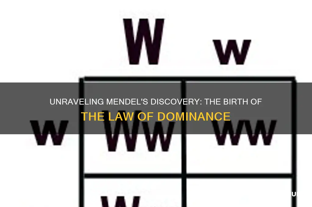 how did mendel come up with the law of dominance